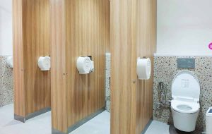 Hari Toilet Sedunia